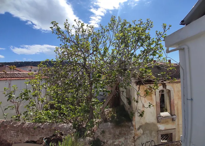 فندق Kidoni Macaron Ayvalı